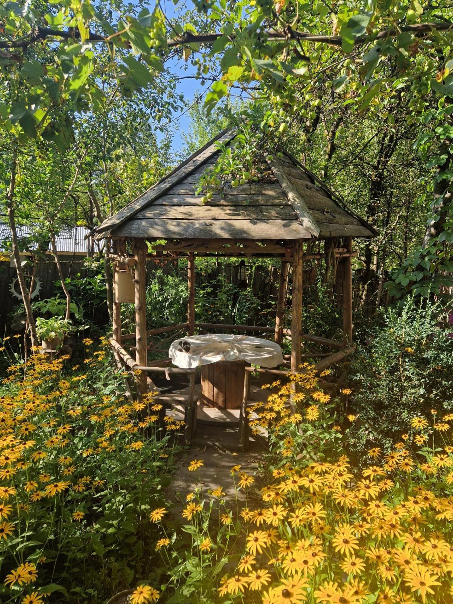 Guest House "Svaneti" Lentekhi Екстер'єр фото