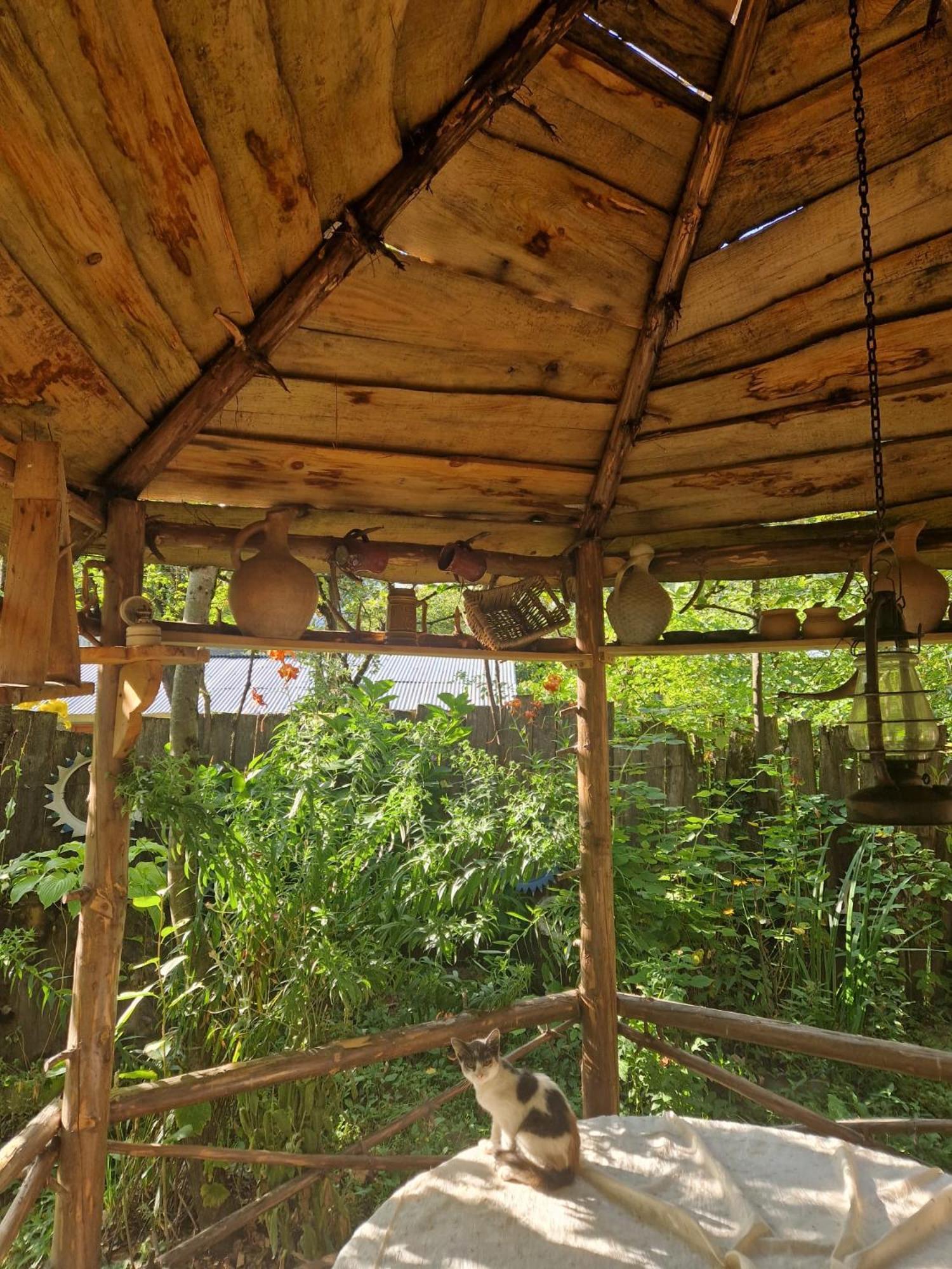 Guest House "Svaneti" Lentekhi Екстер'єр фото