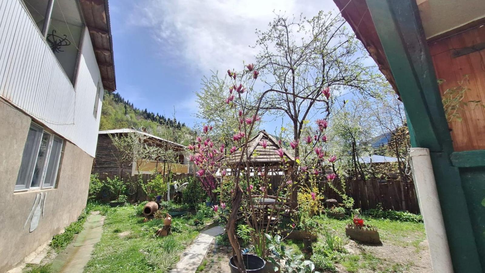 Guest House "Svaneti" Lentekhi Екстер'єр фото