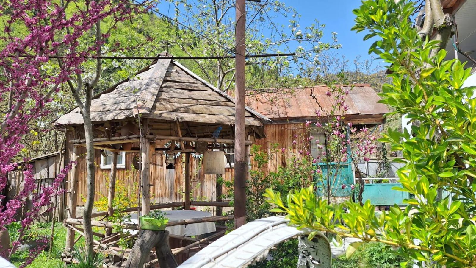 Guest House "Svaneti" Lentekhi Екстер'єр фото