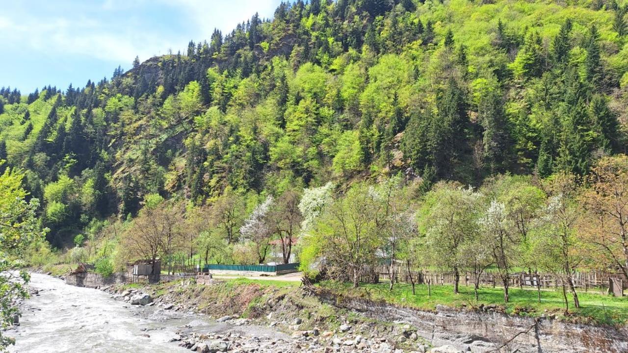 Guest House "Svaneti" Lentekhi Екстер'єр фото