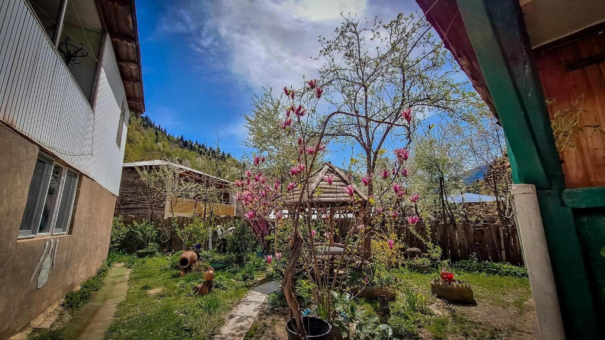 Guest House "Svaneti" Lentekhi Екстер'єр фото