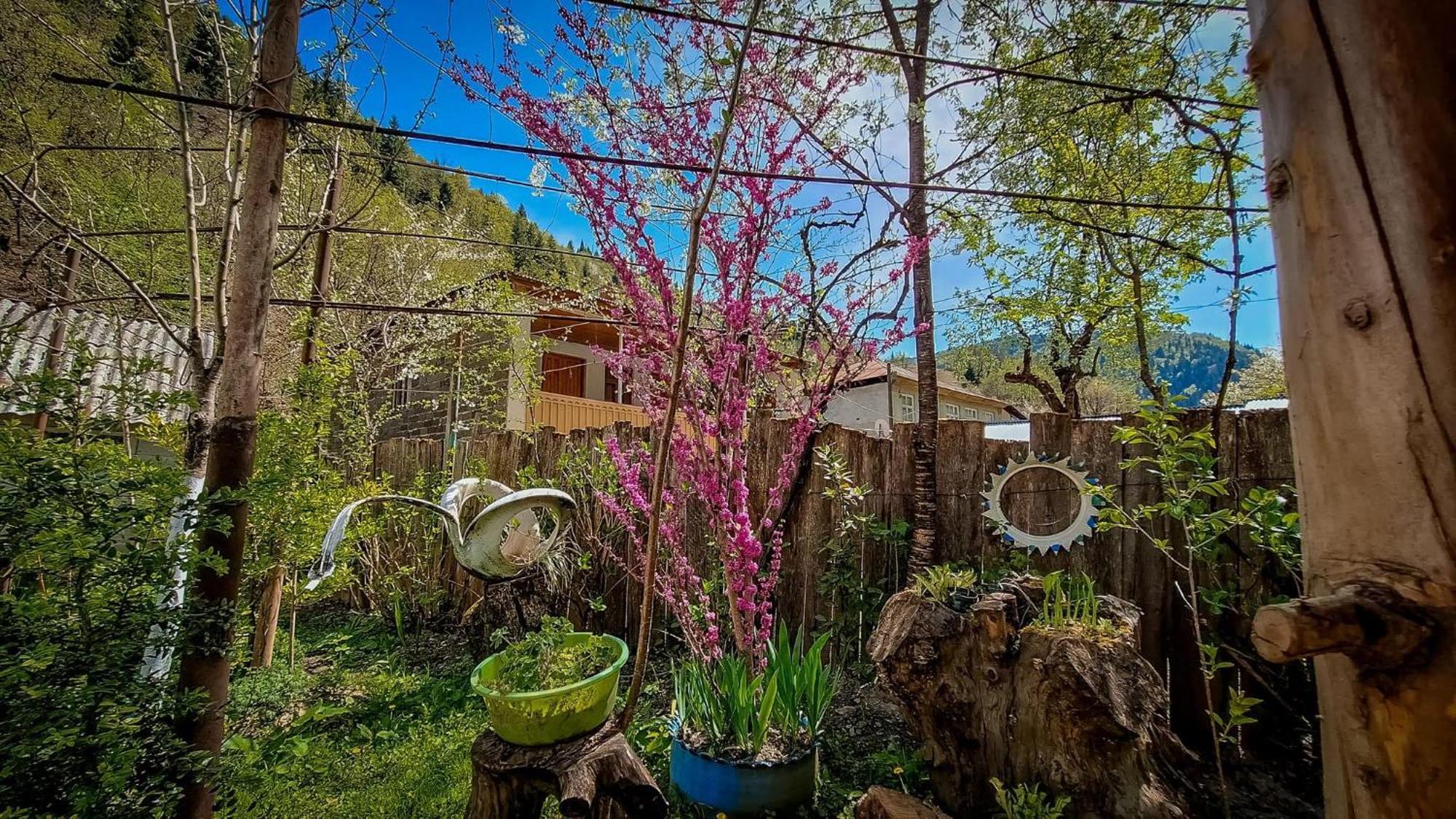 Guest House "Svaneti" Lentekhi Екстер'єр фото